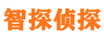 泽普市侦探公司